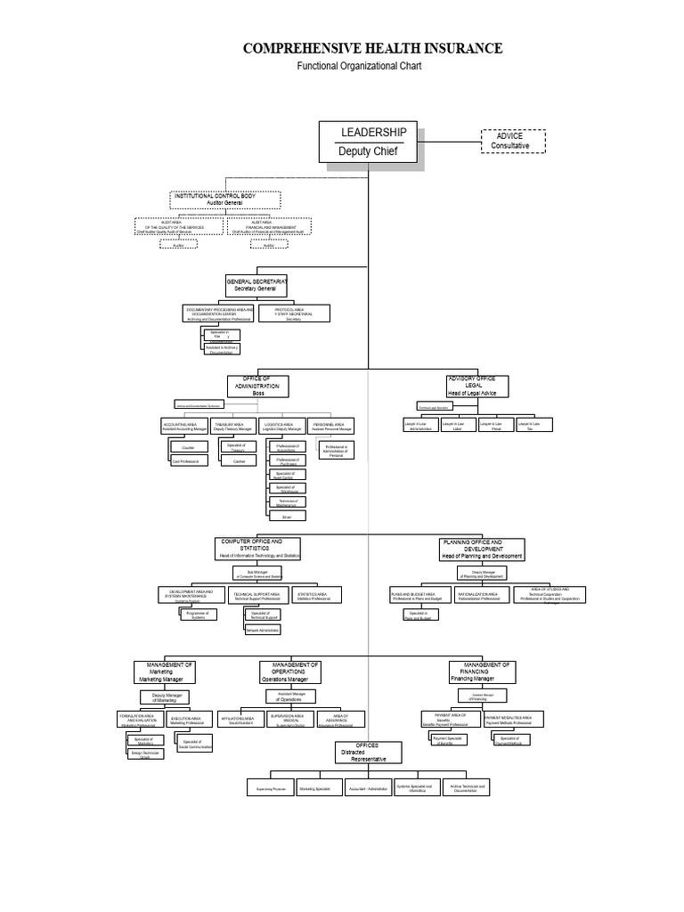 Health Insurance Organizational Structure | PDF | Audit | Technical Support