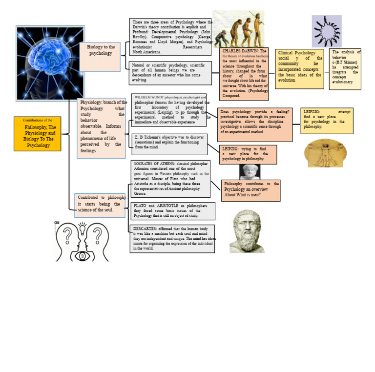 Synoptic Chart | PDF | Psychology | Aristotle
