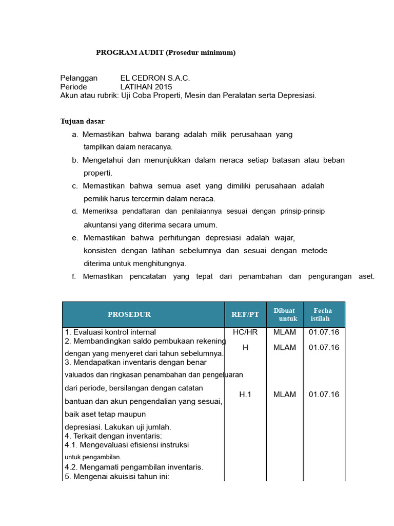 Program Audit | PDF