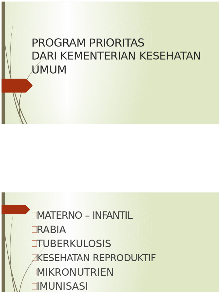 Program Kesehatan Prioritas Iztapa | PDF
