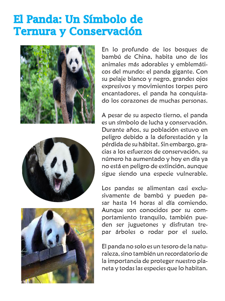 Pandas: Símbolos de Conservación y Ternura | PDF