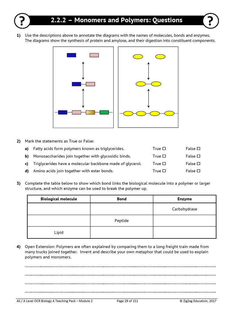 Monomers and Polymers Teaching Pack | PDF | Biomolecules | Polymers