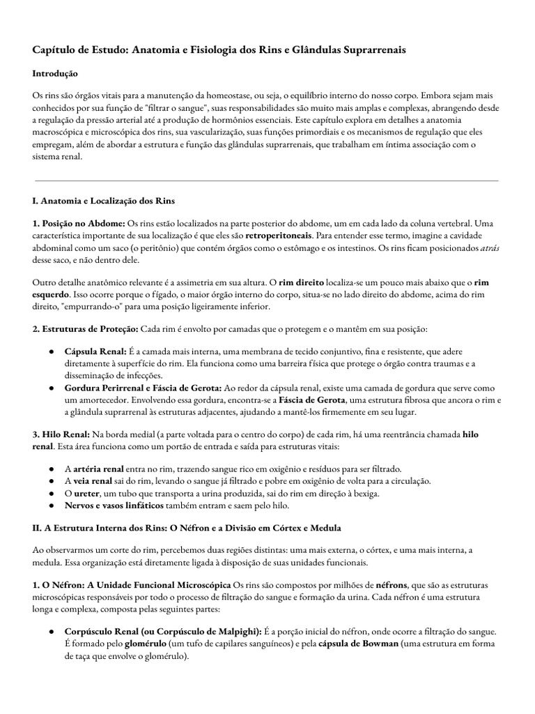 Anatomia e Fisiologia dos Rins e Glândulas Suprarrenais | PDF | Rim ...
