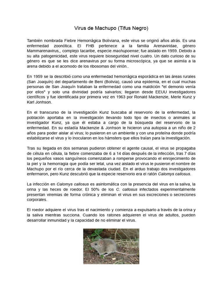 Virus Machupo | PDF | Virus | Microbiología