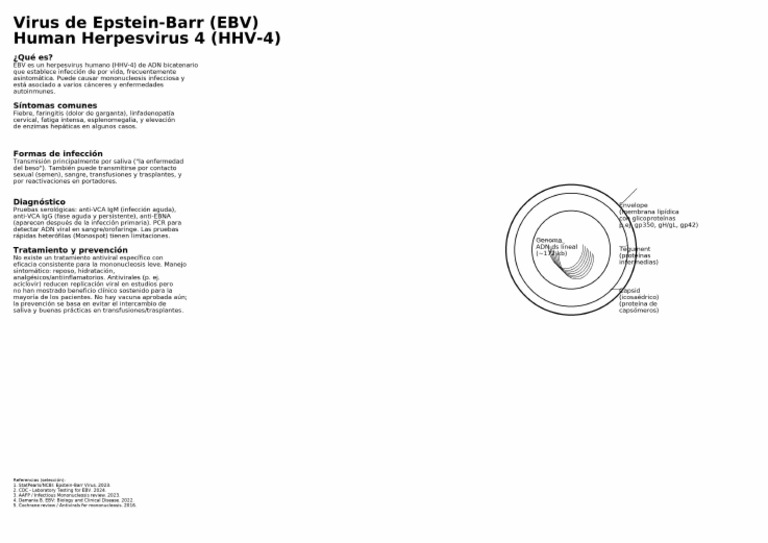 EBV Poster | PDF