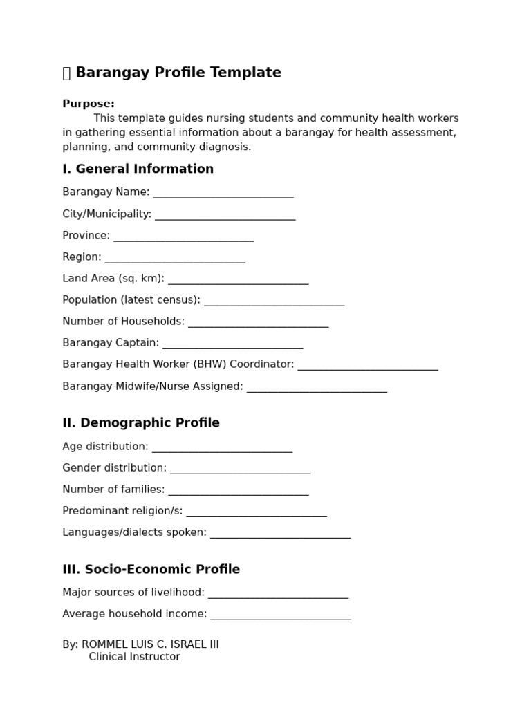 Barangay Profile Template for Health Assessment | PDF | Health ...