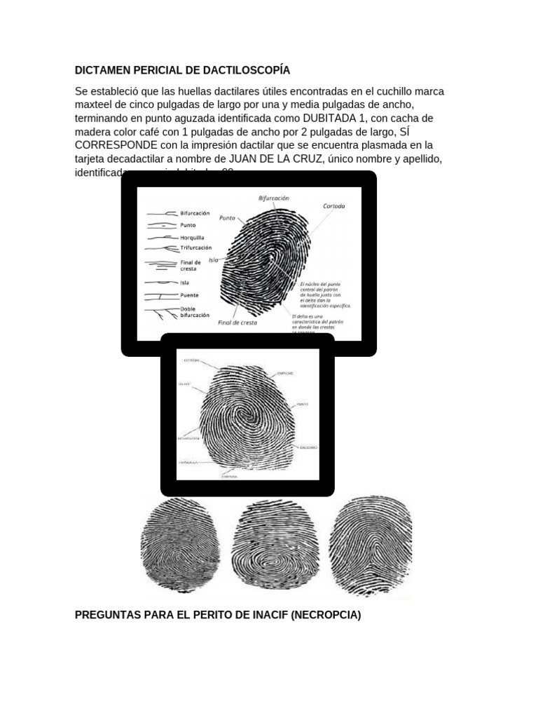 Dactiloscopía en Caso de Homicidio | PDF | Huella dactilar