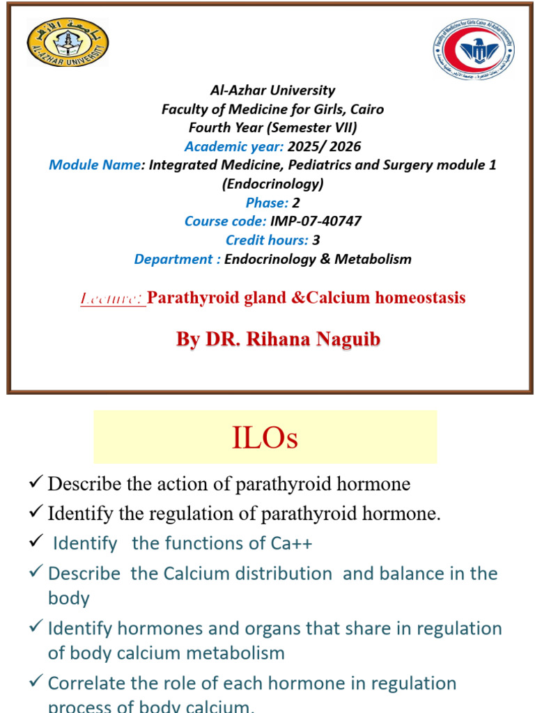 Parathyroid Hormone & Calcium Homeostasis | PDF | Calcium In Biology ...