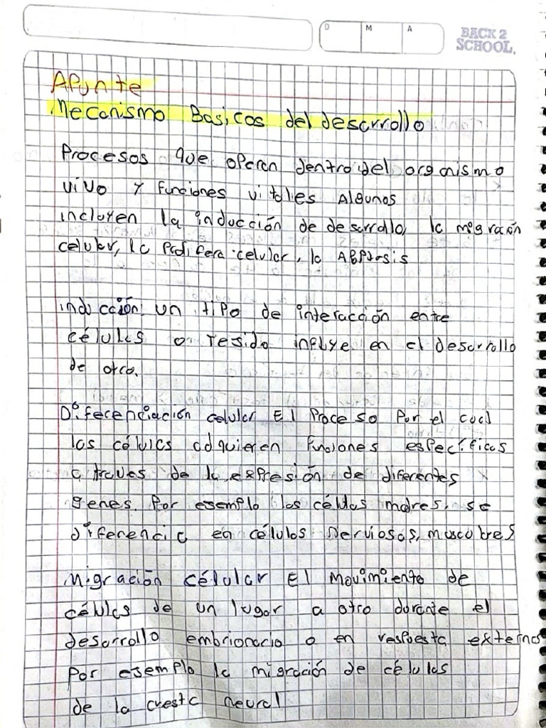 APUNTE | PDF