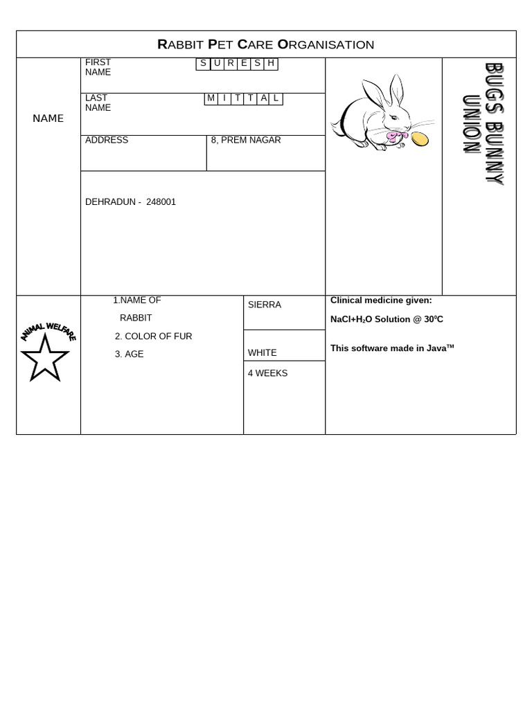 Rabbit Pet Care Organisation | PDF