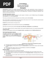 Rabbit Female Reproductive Anatomy | PDF | Wellness | Science & Mathematics