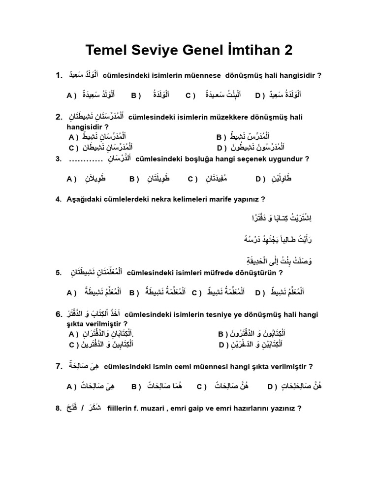Temel Seviye Genel İmtihan 2 | PDF