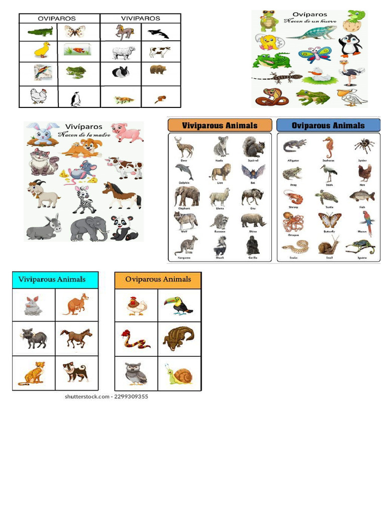 Animales | PDF
