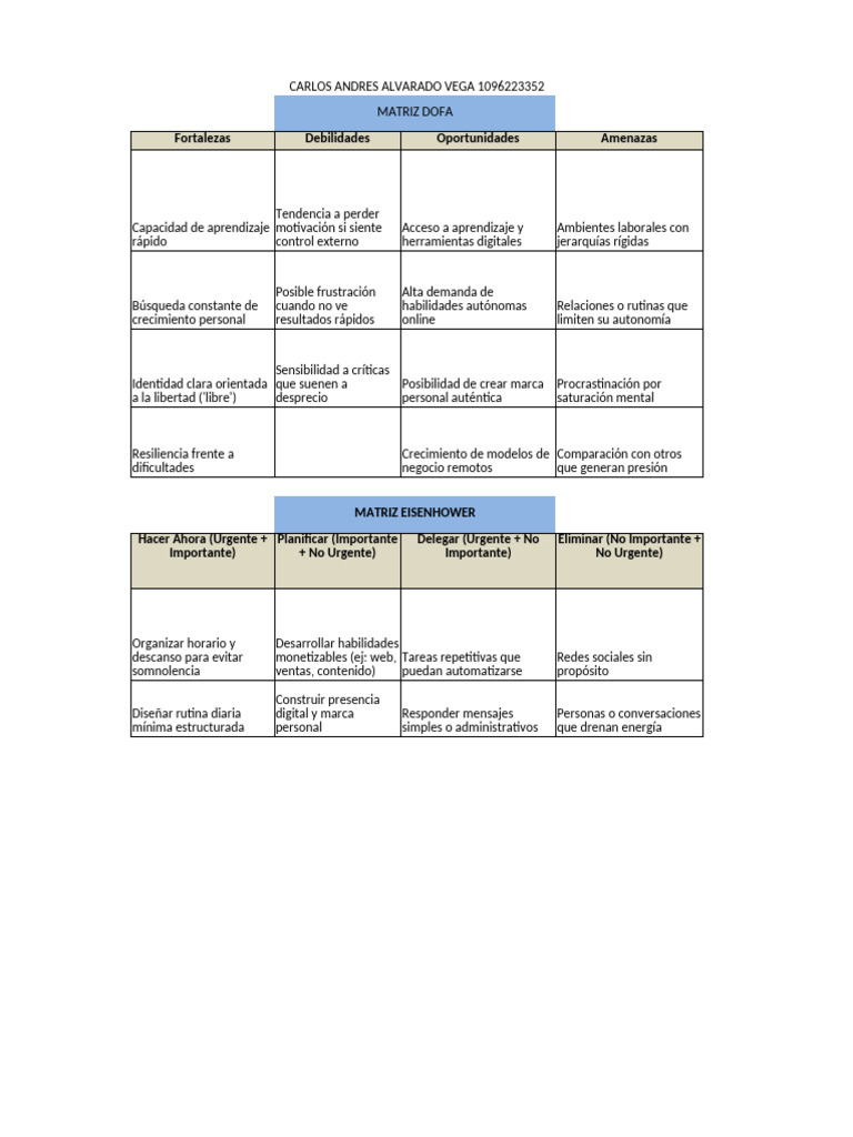 Estrategias de Crecimiento Personal y Profesional | PDF | Análisis FODA ...
