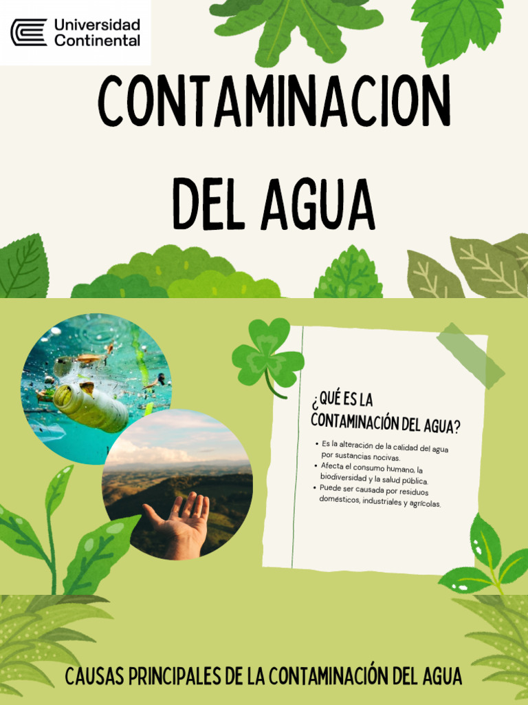 Contaminación del agua en Perú: causas y efectos | PDF | La ...