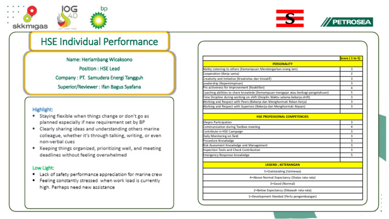 2025.01.16 - Report HSE Individual Performance | PDF | Social ...