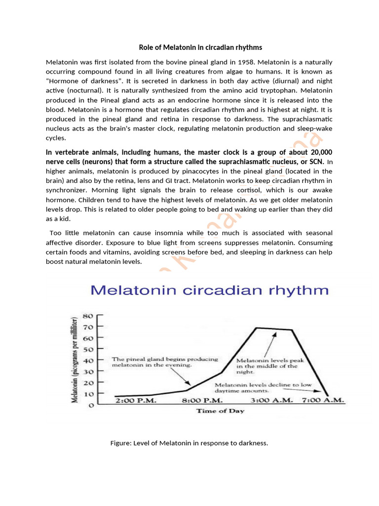 Melatonin's Role in Circadian Rhythms | PDF | Circadian Rhythm | Sleep