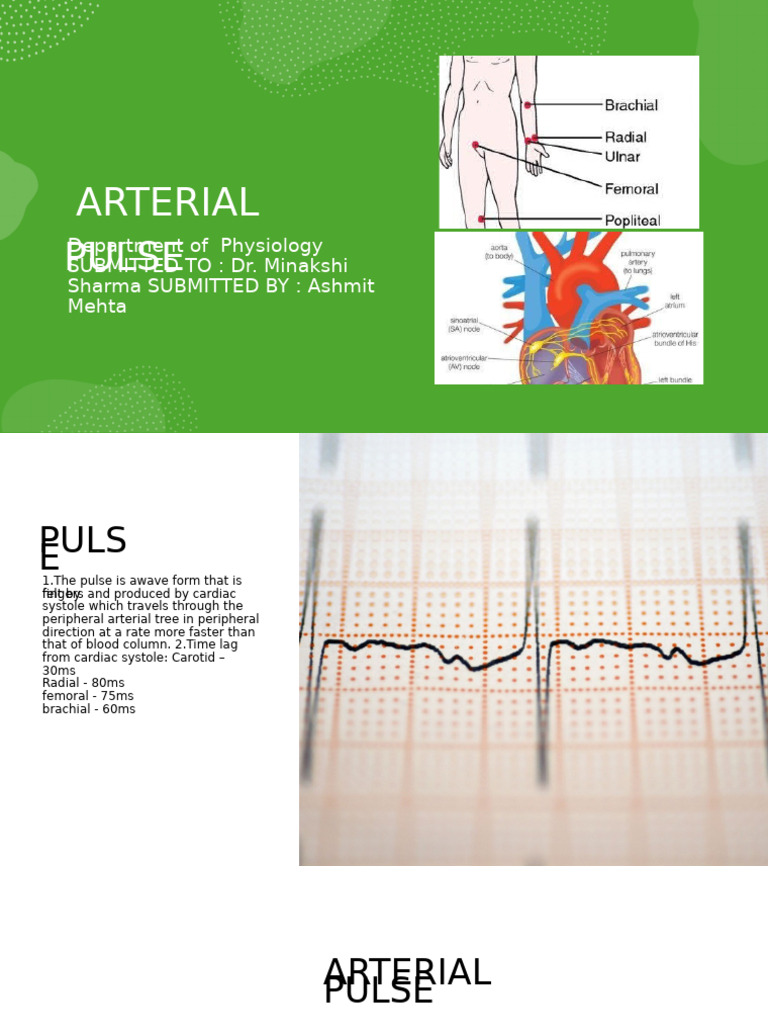 Understanding Arterial Pulse Examination | PDF | Pulse | Aorta