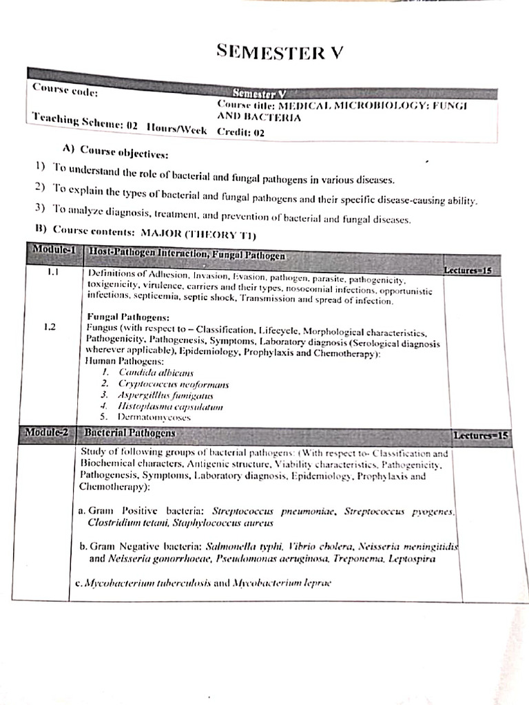 Sem 5 Syllabus | PDF