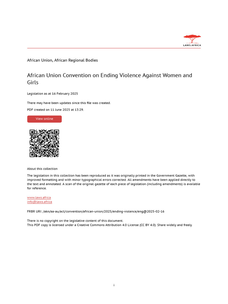 African Union Convention On Ending Violence Against Women and Girls ...