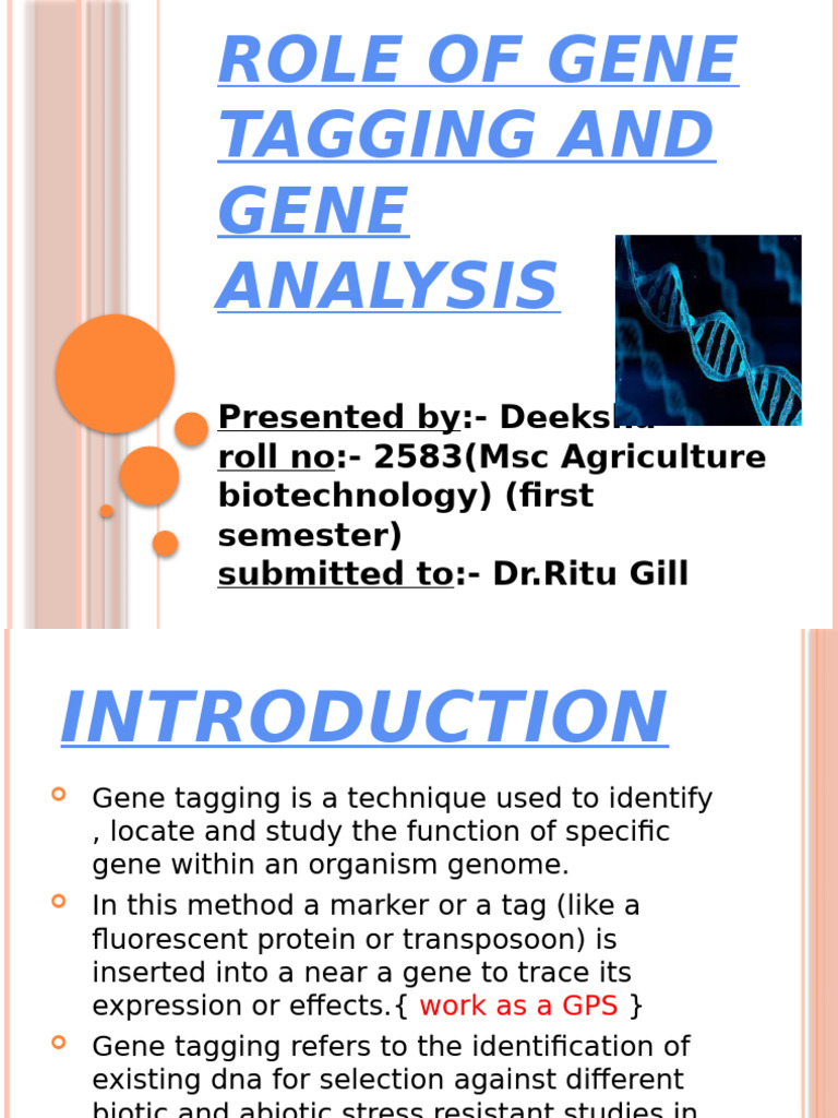 Gene Tagging in Crop Biotechnology | PDF | Gene | Genetics