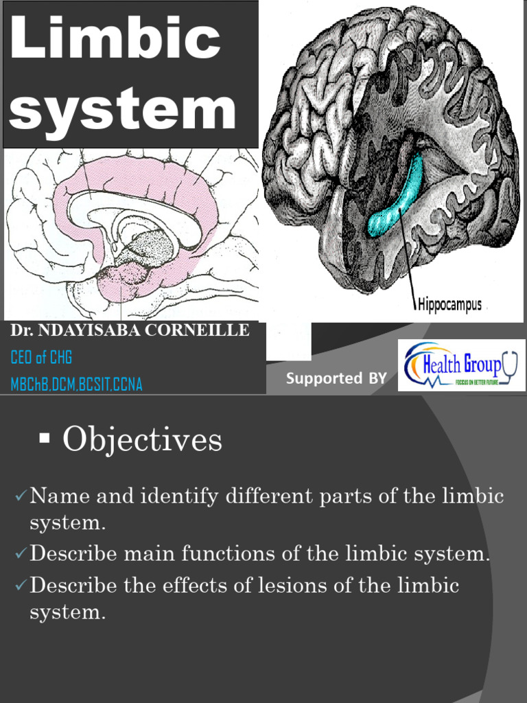 Understanding the Limbic System Functions | PDF | Limbic System ...