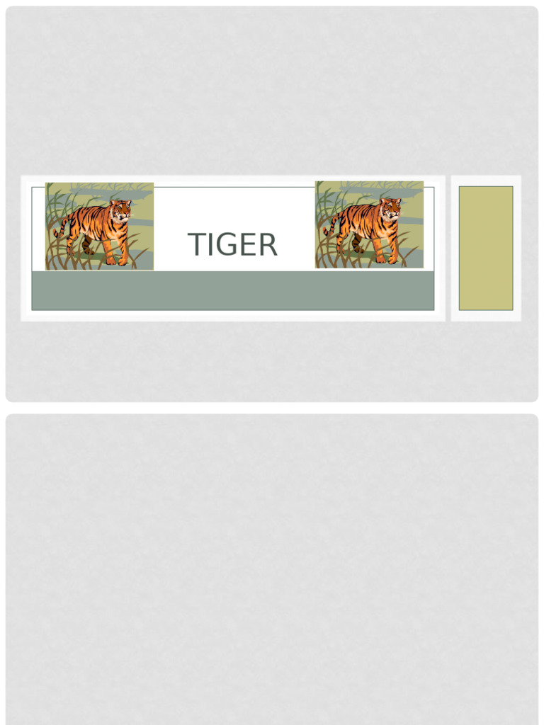 Tiger | PDF