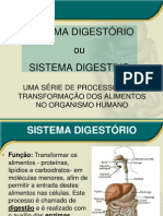 sistema_digestivo
