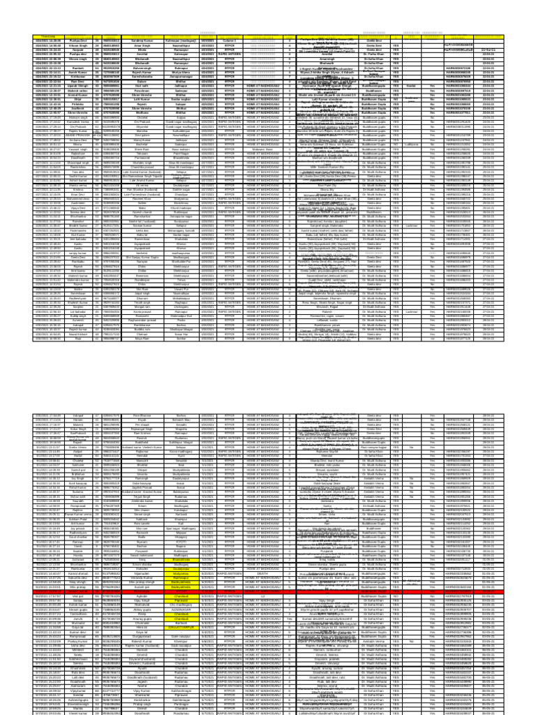RRT Daily Report (Responses) | PDF