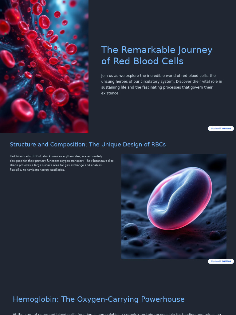 The Remarkable Journey of Red Blood Cells | PDF | Red Blood Cell | Anemia