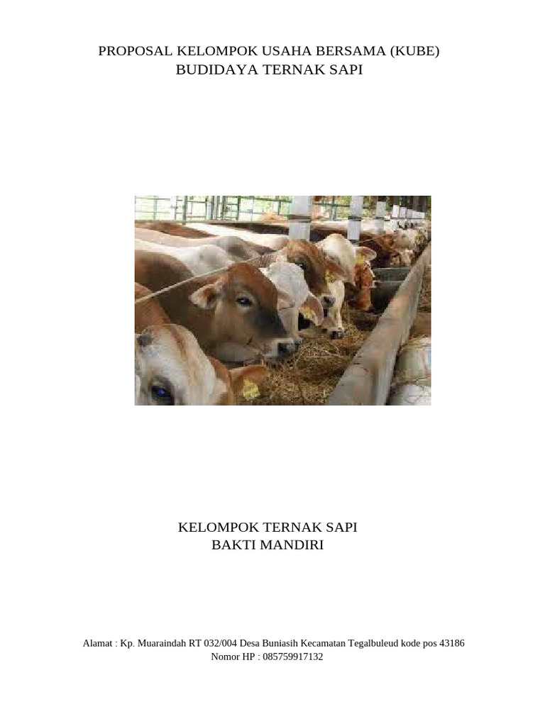 Proposal KUBE Ternak Sapi Sukabumi | PDF
