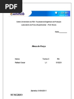 Relatorio - de - Fisica Mesa de Força