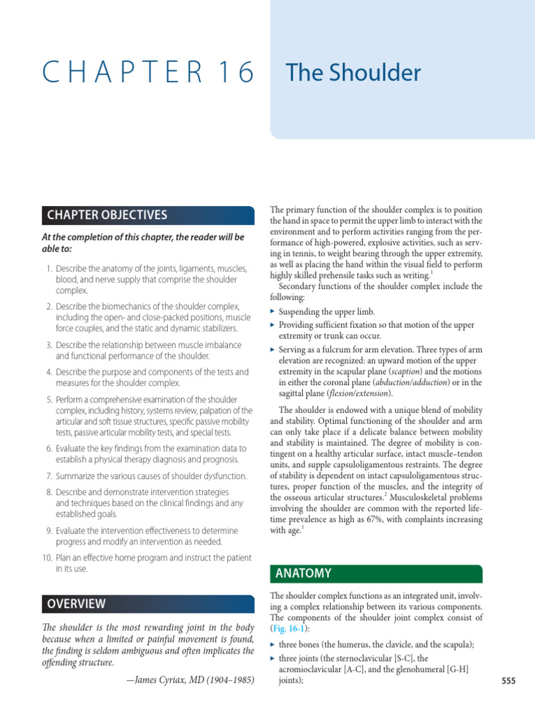 Anatomy and Function of the Shoulder | PDF | Shoulder | Anatomical ...