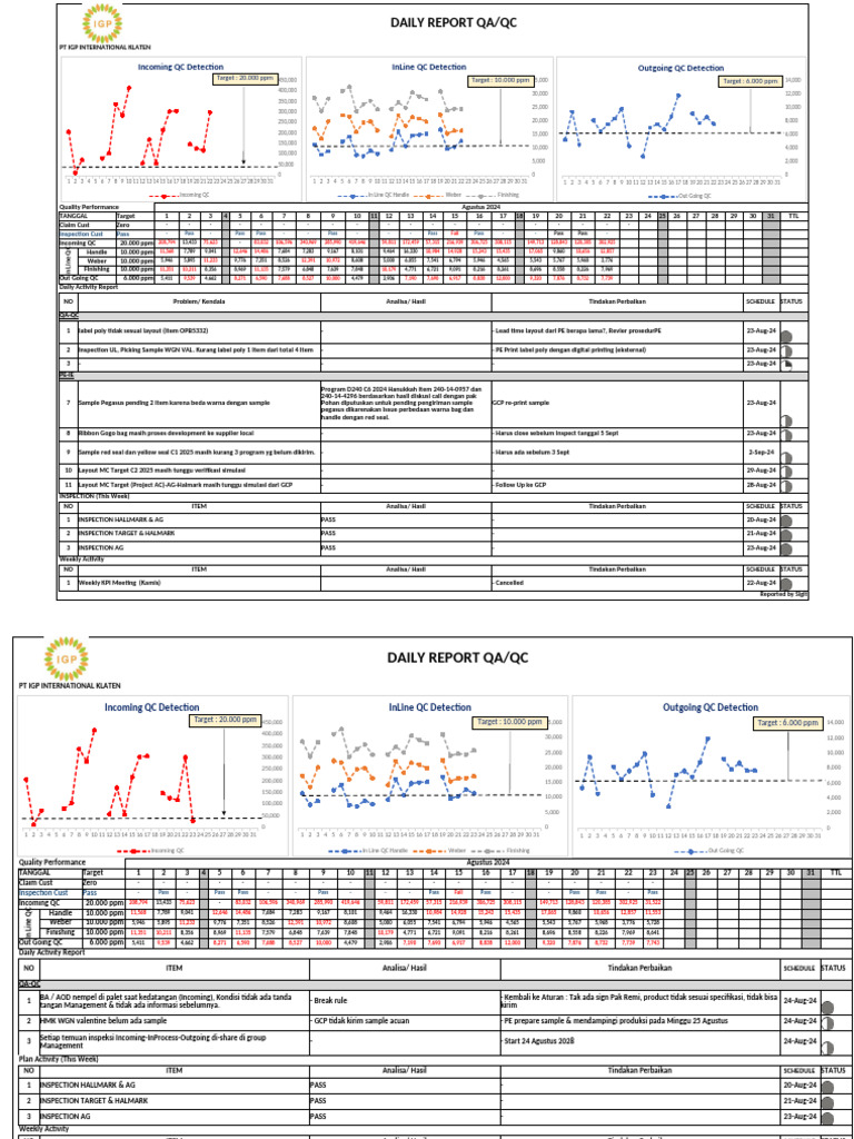 2024 Aug Daily Activity QA. | PDF