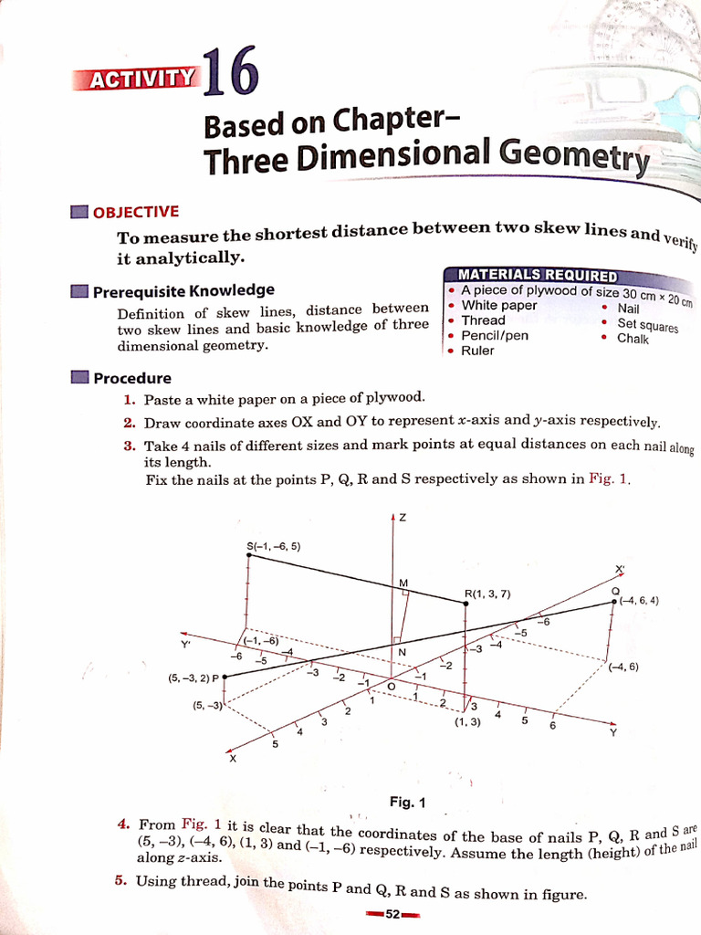 Maths Activity-Raman Pathak | PDF