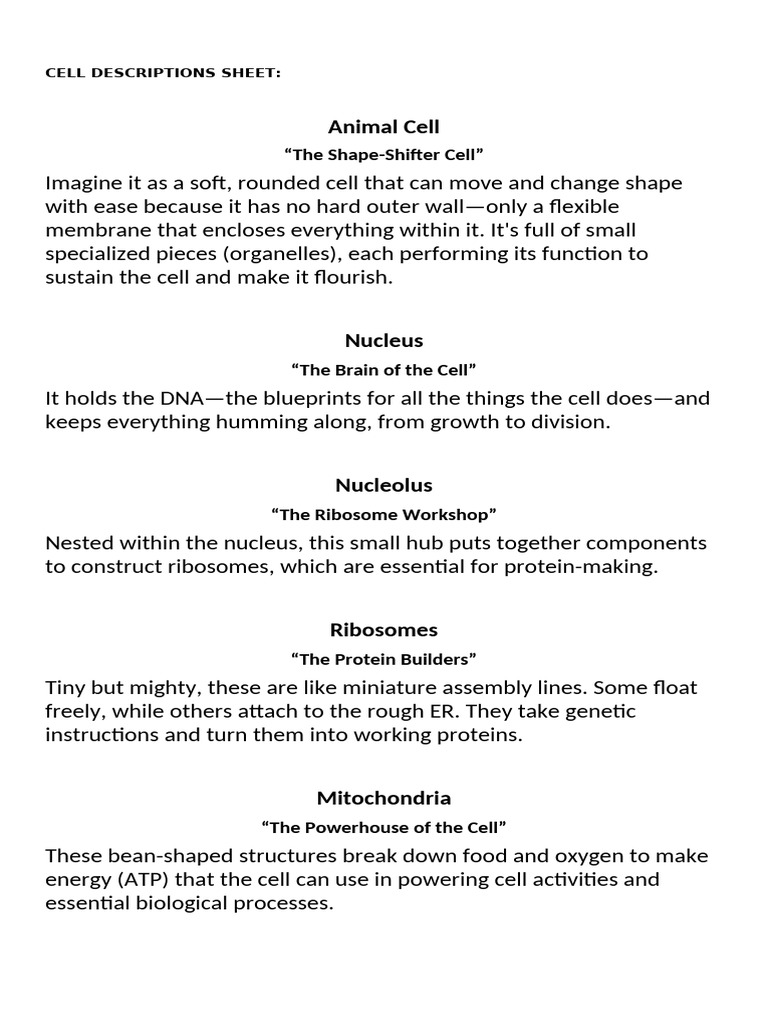 gen bio (1) | PDF | Endoplasmic Reticulum | Cell (Biology)