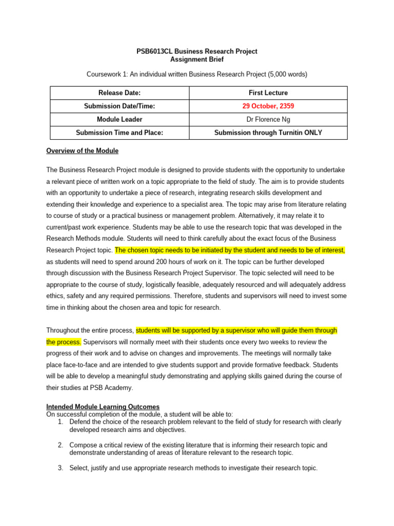 Business Research Project Guidelines | PDF | Methodology | Inquiry