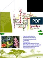 Apresentacao_plantas1