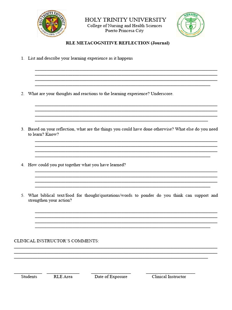 Metacognitive Reflection Guidelines | PDF | Cognition | Learning