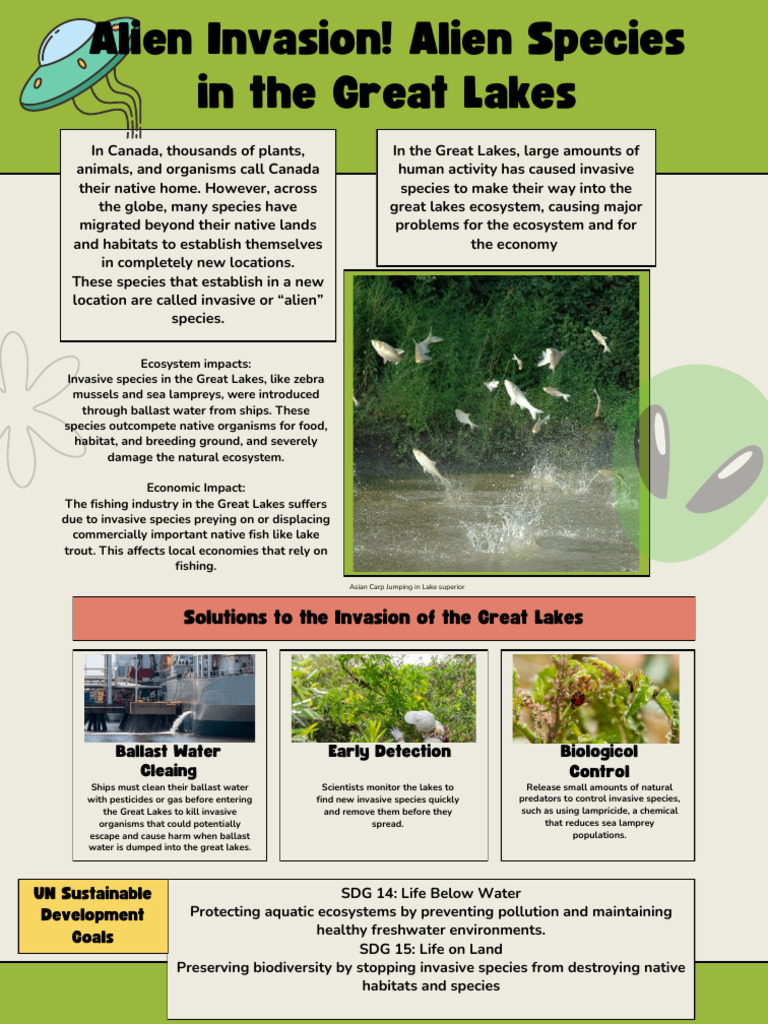 Species Card Educational Poster in Yellow Green Cream Simple Outlined ...