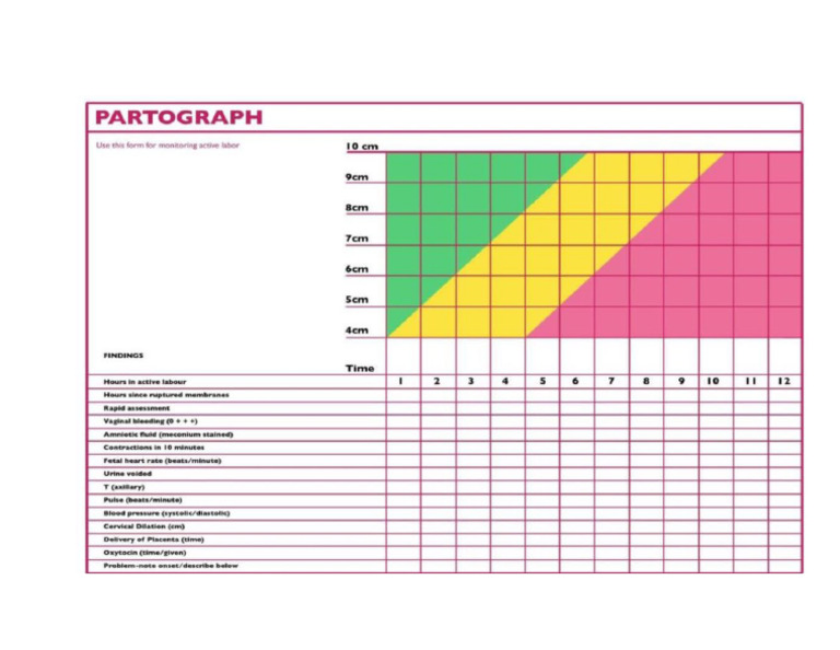 Partograph Form | PDF