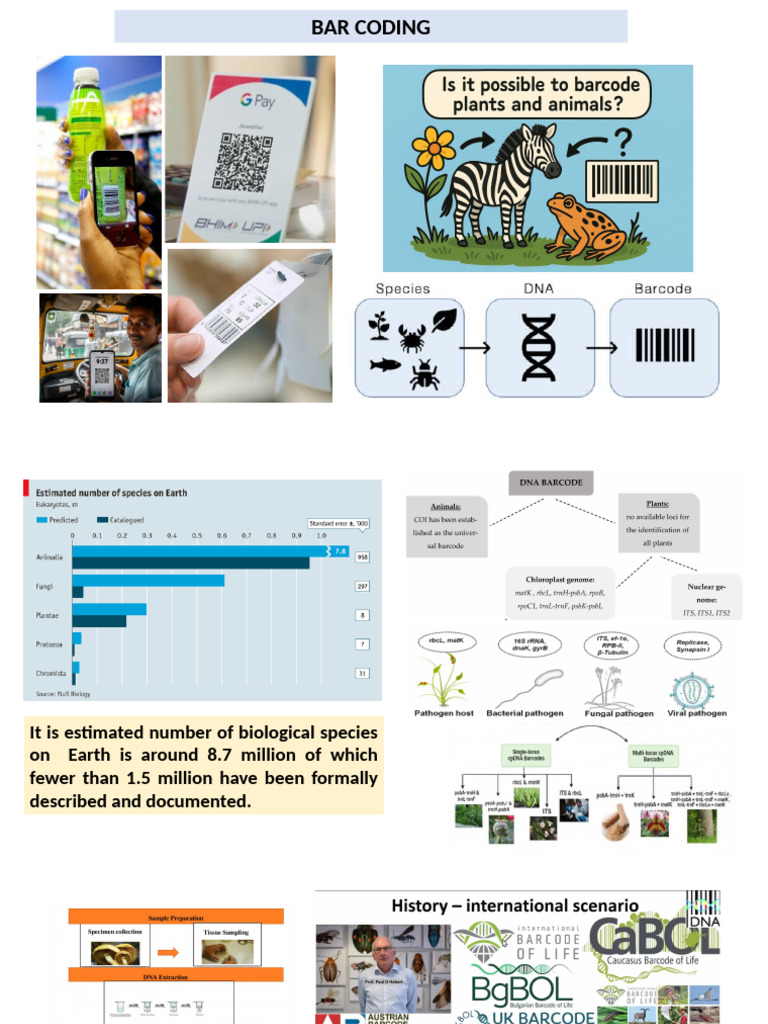 Understanding Bar Coding in Biology | PDF