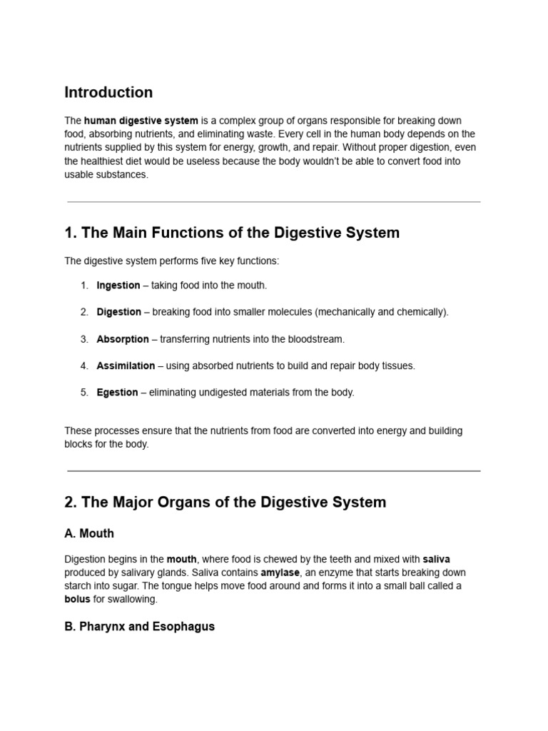 The Human Digestive System - Structure and Function | PDF | Digestion ...