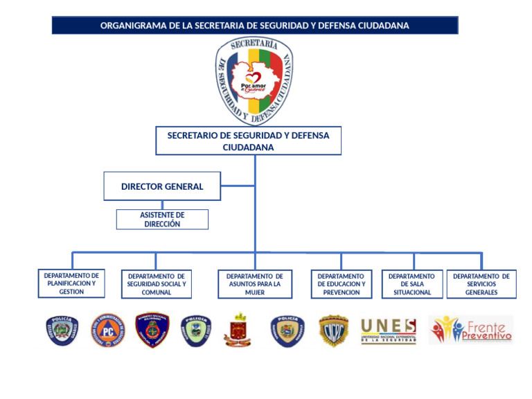 Organigrama de Seguridad y Defensa | PDF