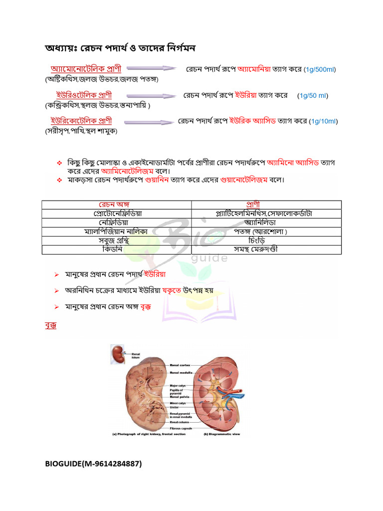 Bioguide (M 9614284887) | PDF