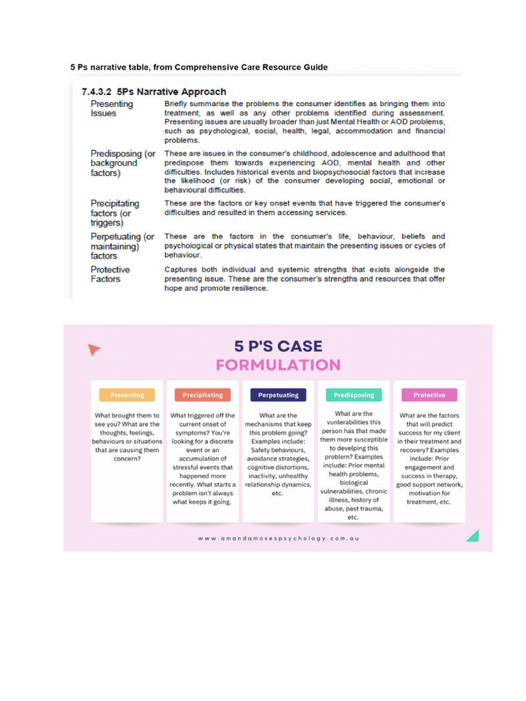 5 Ps Case Formulation for Lena's Crisis | PDF