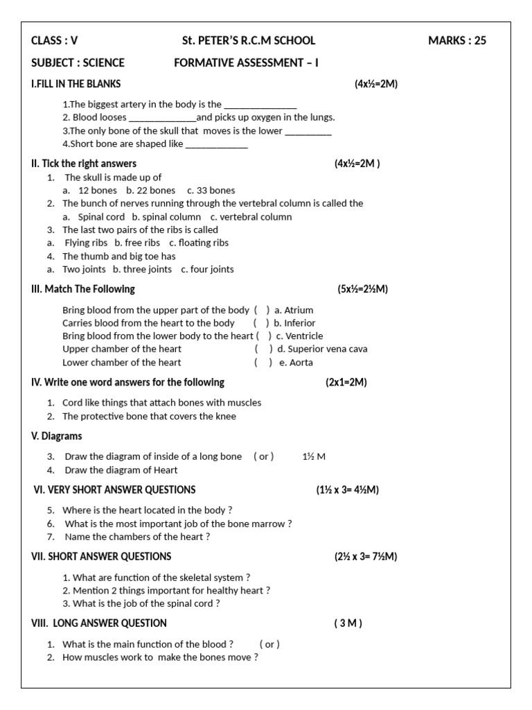 Class V Science & Social Assessment Guide | PDF | Heart | Earth