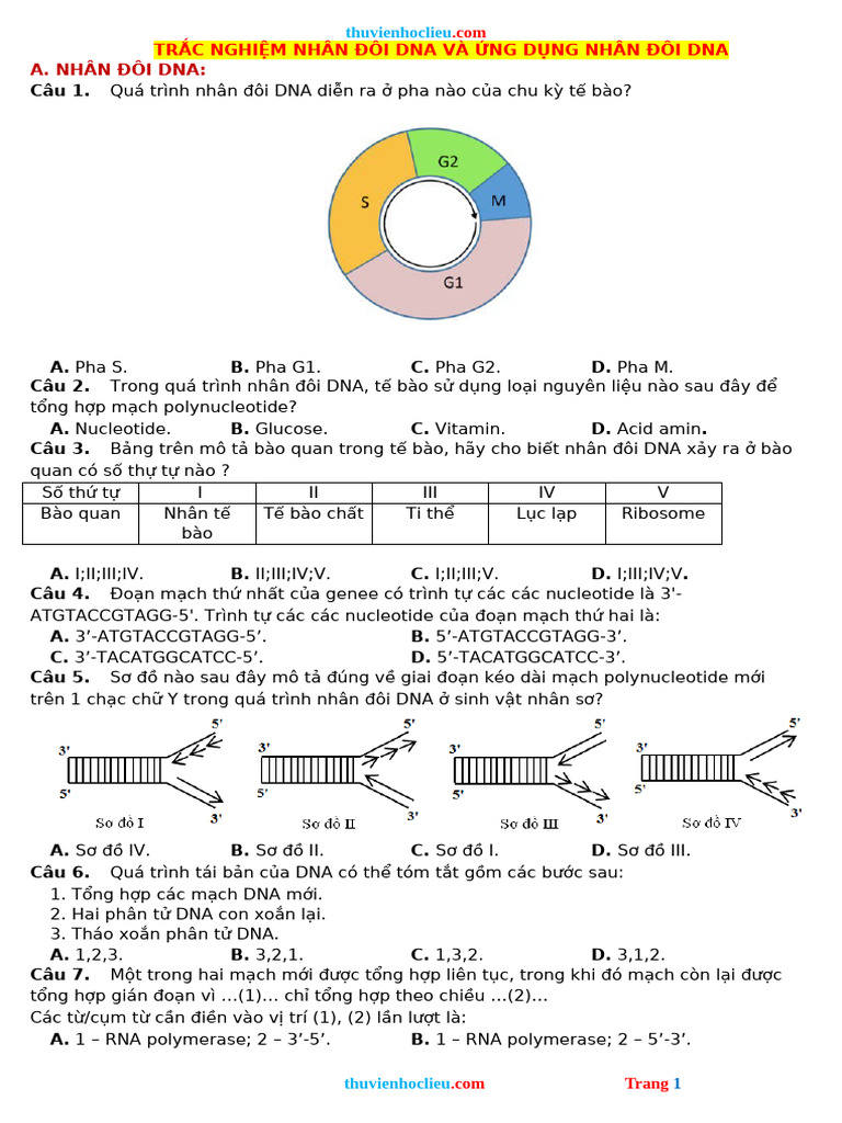 Nhân Đôi DNA | PDF