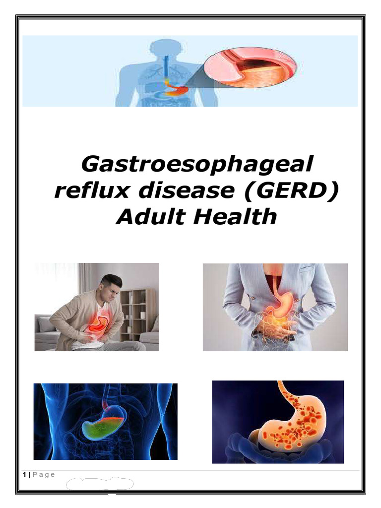 GERD Health Assessment Guide for Adults | PDF | Gastroesophageal Reflux ...