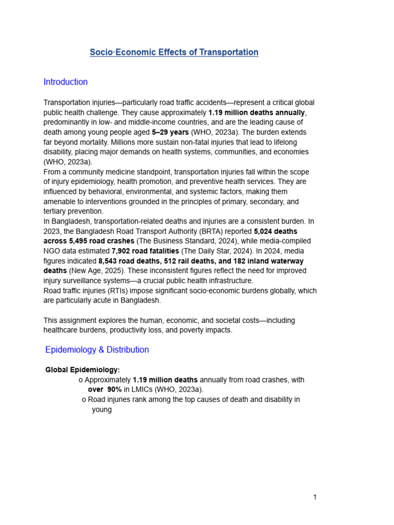 Socio-Economic Impact of Transportation Injuries | PDF | Public Health ...